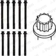 Payen HBS203 - Комплект болтов головки цилиндра abcparts.ee