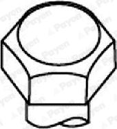 Payen HBS287 - Комплект болтов головки цилиндра abcparts.ee