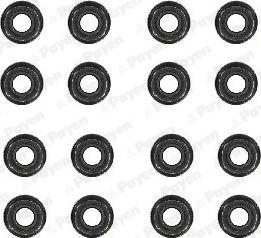 Payen HR5088 - Комплект прокладок, стержень клапана abcparts.ee