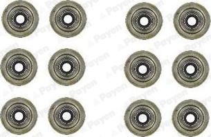 Payen HR5031 - Комплект прокладок, стержень клапана abcparts.ee