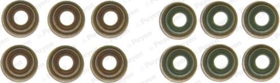 Payen HR5131 - Комплект прокладок, стержень клапана abcparts.ee