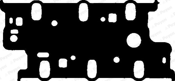 Payen JC363 - Прокладка, впускной коллектор abcparts.ee