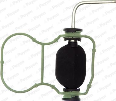 Payen JD5869 - Прокладка, впускной коллектор abcparts.ee