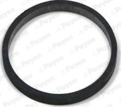 Payen JD5811 - Прокладка, впускной коллектор abcparts.ee