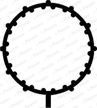 Payen JD5838 - Прокладка, впускной коллектор abcparts.ee