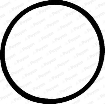 Payen JD5378 - Прокладка, впускной коллектор abcparts.ee