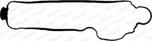 Payen JM5094 - Прокладка, крышка головки цилиндра abcparts.ee