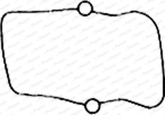Payen JM5186 - Прокладка, крышка головки цилиндра abcparts.ee