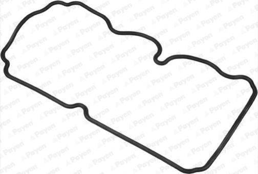 Payen JM5263 - Прокладка, крышка головки цилиндра abcparts.ee