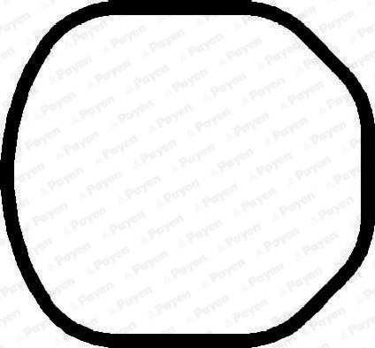 Payen JM869 - Прокладка, крышка головки цилиндра abcparts.ee