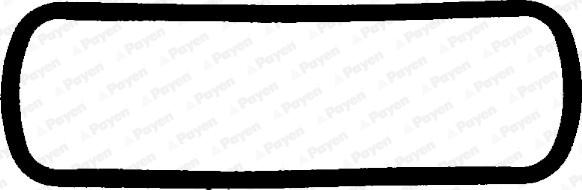 Payen JM302 - Прокладка, крышка головки цилиндра abcparts.ee