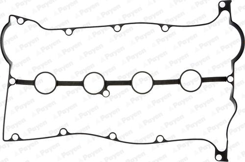 Payen JM7038 - Прокладка, крышка головки цилиндра abcparts.ee