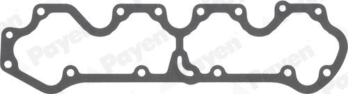 Payen JM7177 - Прокладка, крышка головки цилиндра abcparts.ee