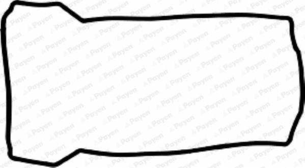Payen JN911 - Прокладка, крышка головки цилиндра abcparts.ee