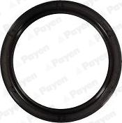 Payen NA5492 - Уплотняющее кольцо, коленчатый вал abcparts.ee