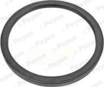 Payen NA5463 - Уплотняющее кольцо, коленчатый вал abcparts.ee