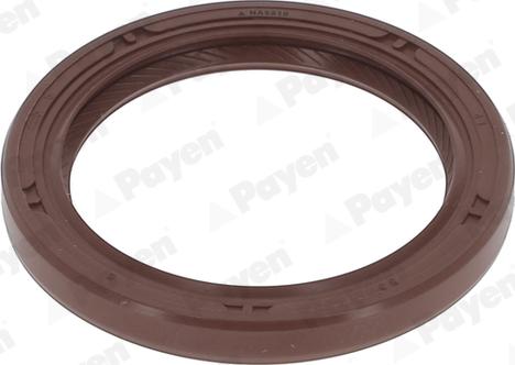 Payen NA5510 - Уплотняющее кольцо, коленчатый вал abcparts.ee