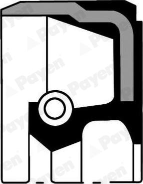 Payen NA5177 - Уплотняющее кольцо, коленчатый вал abcparts.ee