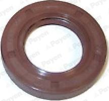 Payen NA5318 - Уплотняющее кольцо, распредвал abcparts.ee