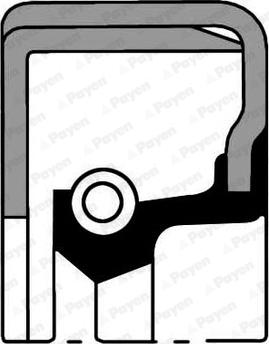 Payen NJ068 - Уплотняющее кольцо, дифференциал abcparts.ee