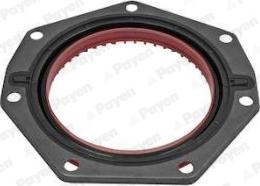 Payen NF883 - Уплотняющее кольцо, коленчатый вал abcparts.ee