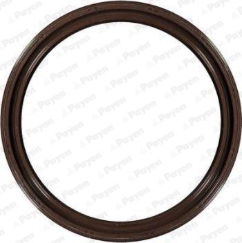 Payen NK169 - Уплотняющее кольцо, коленчатый вал abcparts.ee