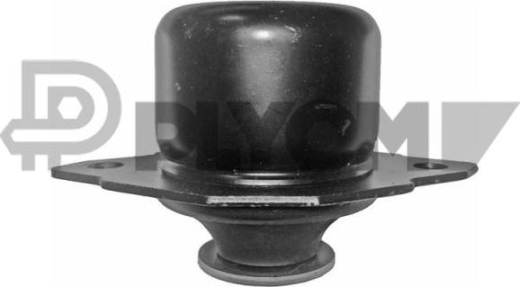 PLYOM P460886 - Подушка, опора, подвеска двигателя abcparts.ee