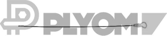 PLYOM P461389 - Указатель уровня масла abcparts.ee