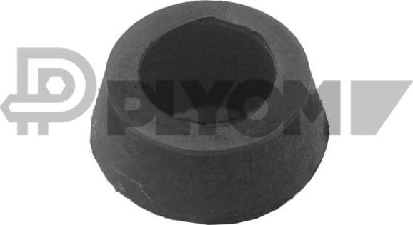 PLYOM P031522 - Втулка, вал сошки рулевого управления abcparts.ee
