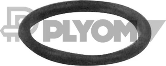 PLYOM P751984 - Уплотнительное кольцо, резьбовая пробка маслосливного отверстия abcparts.ee