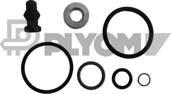 PLYOM P752356 - Комплект прокладок, форсунка abcparts.ee