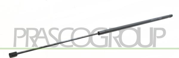 Prasco FT9089055 - Газовая пружина, упор abcparts.ee