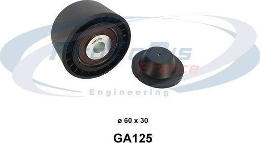 Procodis France GA125 - Натяжитель, поликлиновый ремень abcparts.ee