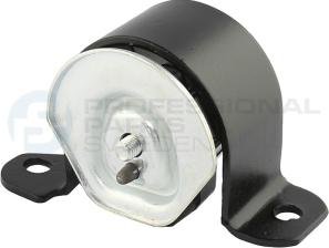 Professional Parts 62343743 - Подушка, опора, подвеска двигателя abcparts.ee