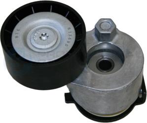 Professional Parts 21438633C - Ролик, поликлиновый ремень abcparts.ee