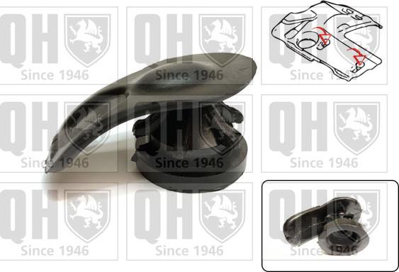 Quinton Hazell EM4861 - Кожух двигателя abcparts.ee