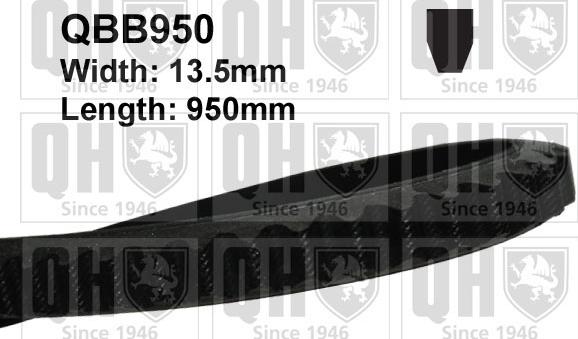 Quinton Hazell QBB950 - Клиновой ремень, поперечные рёбра abcparts.ee