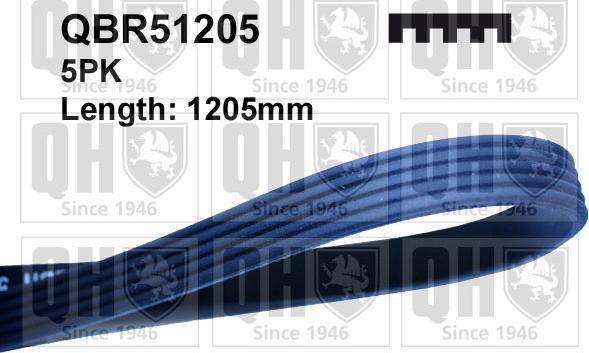 Quinton Hazell QBR51205 - Поликлиновой ремень abcparts.ee