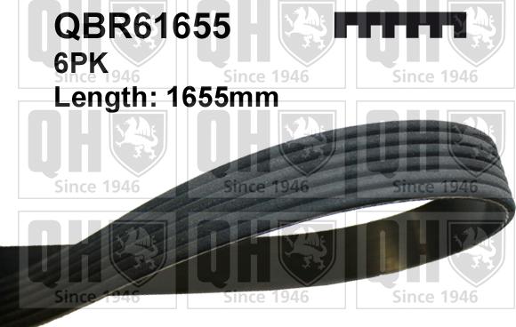 Quinton Hazell QBR61655 - Поликлиновой ремень abcparts.ee