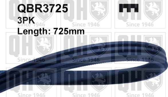 Quinton Hazell QBR3725 - Поликлиновой ремень abcparts.ee