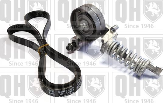 Quinton Hazell QDK120 - Поликлиновый ременный комплект abcparts.ee