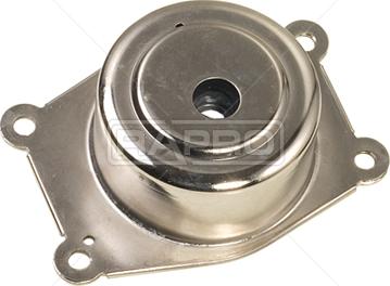 Rapro R59051 - Подушка, опора, подвеска двигателя abcparts.ee