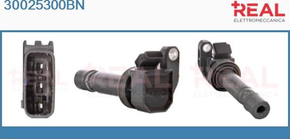 REAL 30025300BN - Катушка зажигания abcparts.ee
