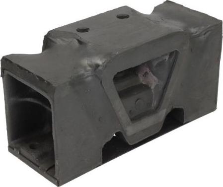 REINHOCH RH58-9003 - Подушка, опора, подвеска двигателя abcparts.ee