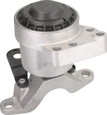 REINHOCH RH11-4079 - Подушка, опора, подвеска двигателя abcparts.ee