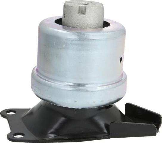 REINHOCH RH11-0059 - Подушка, опора, подвеска двигателя abcparts.ee