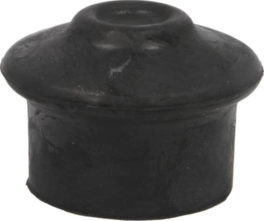 REINHOCH RH11-0038 - Подушка, опора, подвеска двигателя abcparts.ee