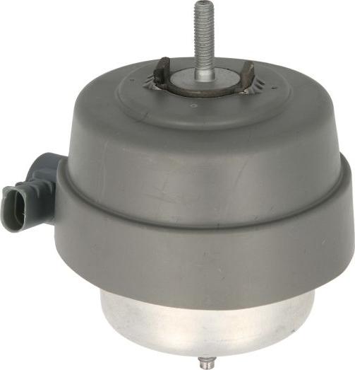 REINHOCH RH11-0141 - Подушка, опора, подвеска двигателя abcparts.ee