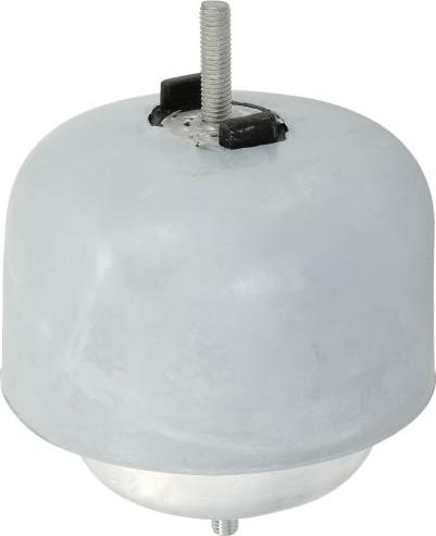 REINHOCH RH11-0119 - Подушка, опора, подвеска двигателя abcparts.ee