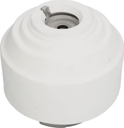 REINHOCH RH11-3015 - Подушка, опора, подвеска двигателя abcparts.ee